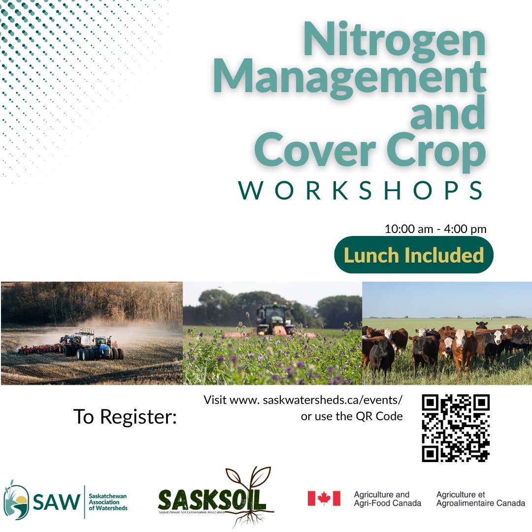 🌾You're invited!🐂
Join SaskSoil and SAW for a series of hands-on workshops across #Saskatchewan focused on Nitrogen Management and Cover Copping.

👉Use the QR Code or visit saskwatersheds.ca/events/ to find a workshop near you!

<a href="/SaskSoil/">SaskSoil</a> 
<a href="/AAFC_Canada/">AAFC Canada</a> 

#BMPs #SaskSoil