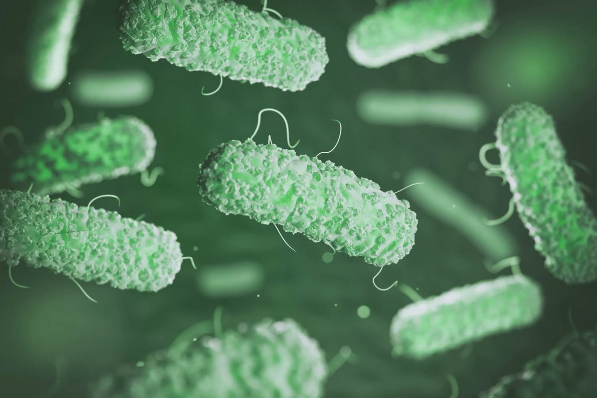 NanoCarbaOne's tweet photo. 👋🏻 Welcome to #NanoCarbaOne!

🎯 Our goal is to develop a point-of-care device that detects carbapenem-resistant bacteria, one of the world’s most pressing healthcare threats.

➡️ Stay tuned for updates and more information about the project! https://t.co/e1a3VVhG1x