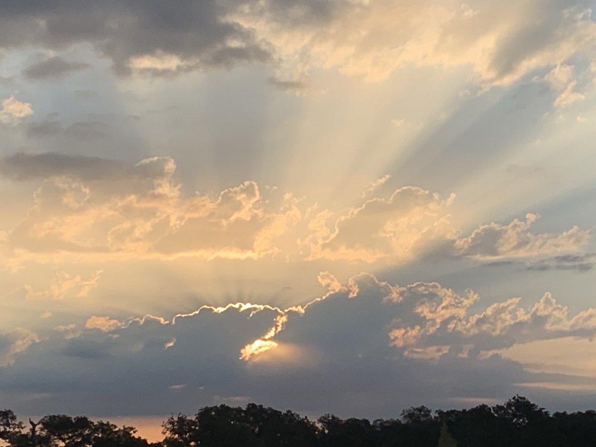LynetteF17527's tweet photo. Good morning from Texas! https://t.co/lQS2daIfDG