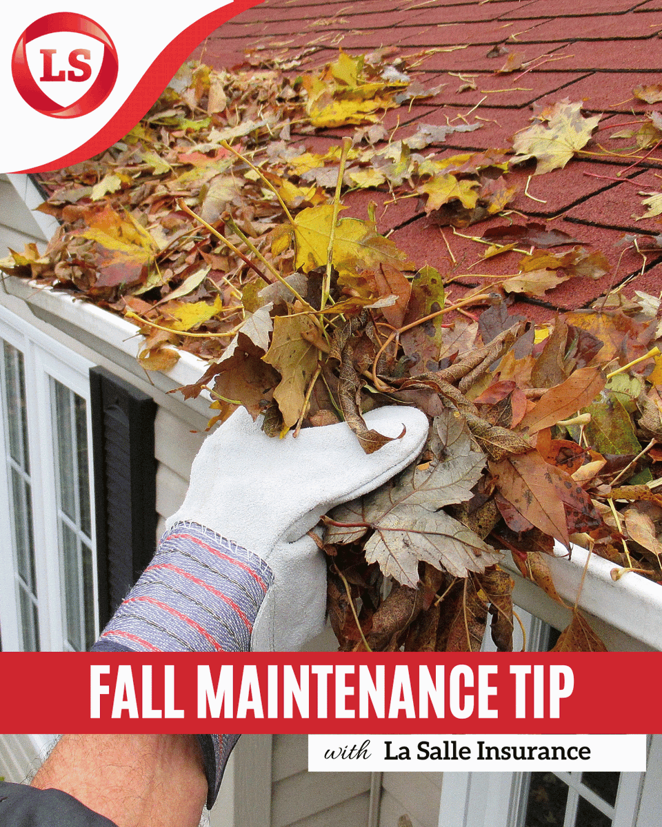 🍂🏡 La Salle Insurance Fall Property Maintenance Tip 🍁

Clogged gutters can cause costly damage — from ruined exterior surfaces to unwanted water in your basement. 🚫💧

A little maintenance now can save big headaches later! 💼✨

🌐 - lasalleinsurance.com