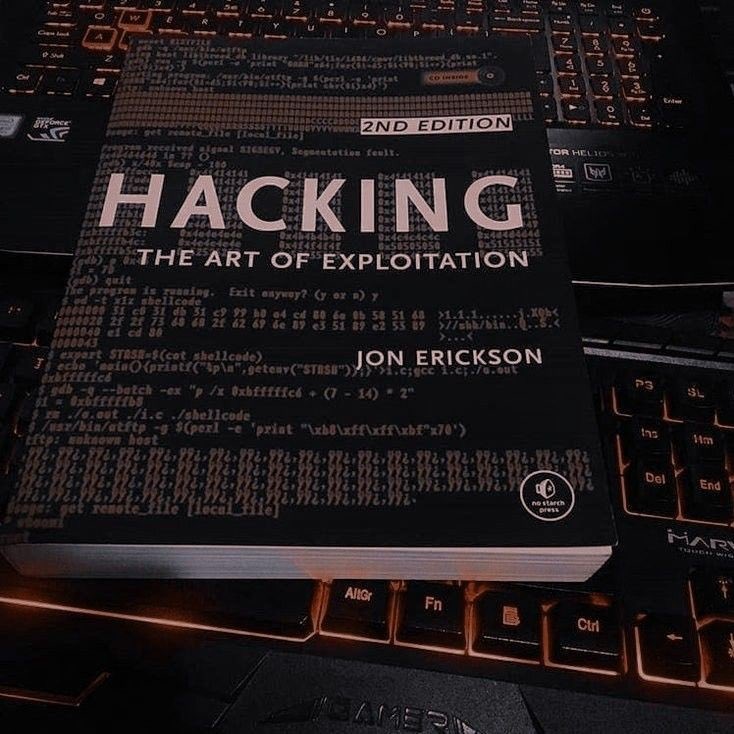 SecurityTrybe's tweet image. Top 20 FREE Hacking Books (Online)
👇