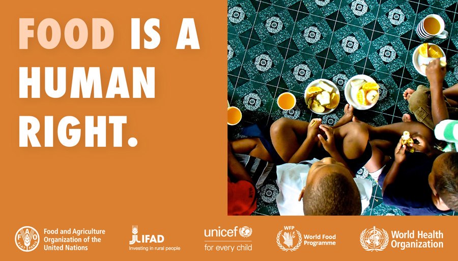 The fundamental human right to food, affirmed over 7⃣5⃣years ago remains unfulfilled

28 <a href="/WorldFoodPrize/">World Food Prize Foundation</a> laureates &amp; humanitarian chef <a href="/JoseAndresFoods/">José Andrés Foods</a>  are advocating for a doubling of investment in emergency food assistance &amp; sustainable agriculture.
➡️bit.ly/47lp38k