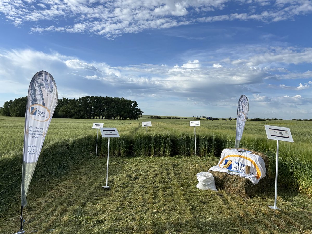 maria pardo tweet media