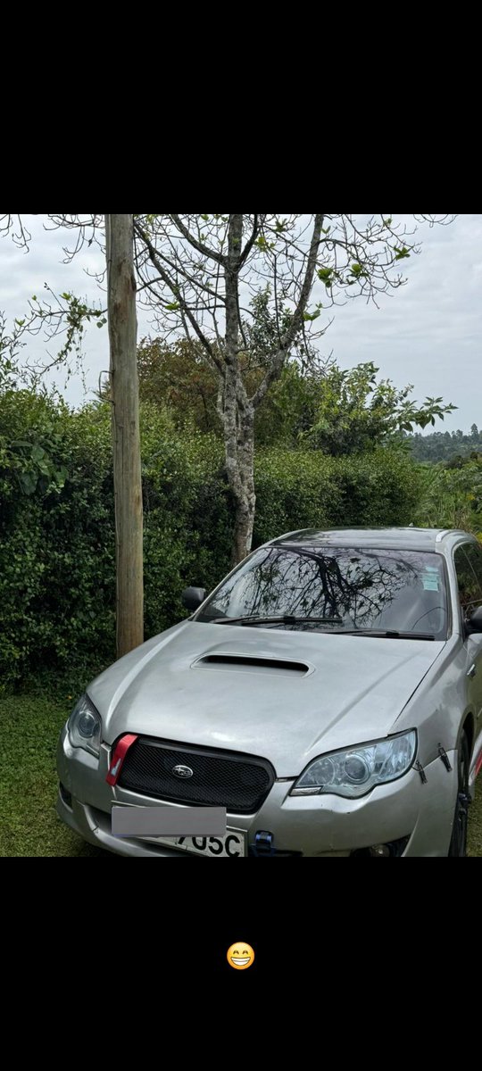 Mnyama ipumzike niende nimwonyeshe huyu milayas chai venye inakaa