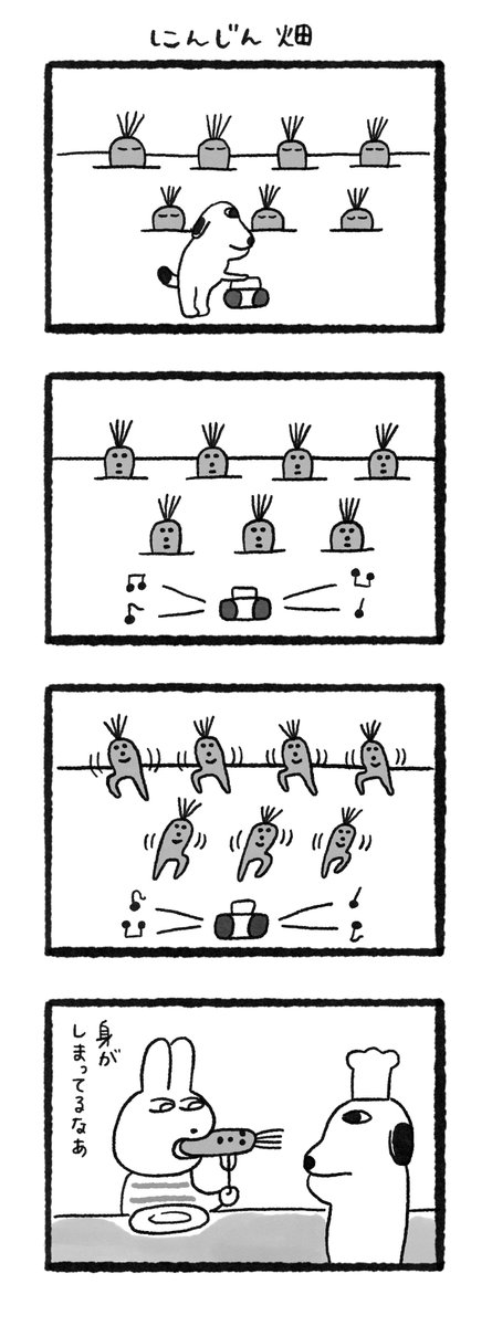 にんじん畑