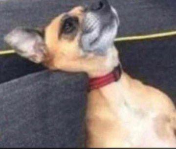 Hamninotice jameni...😭