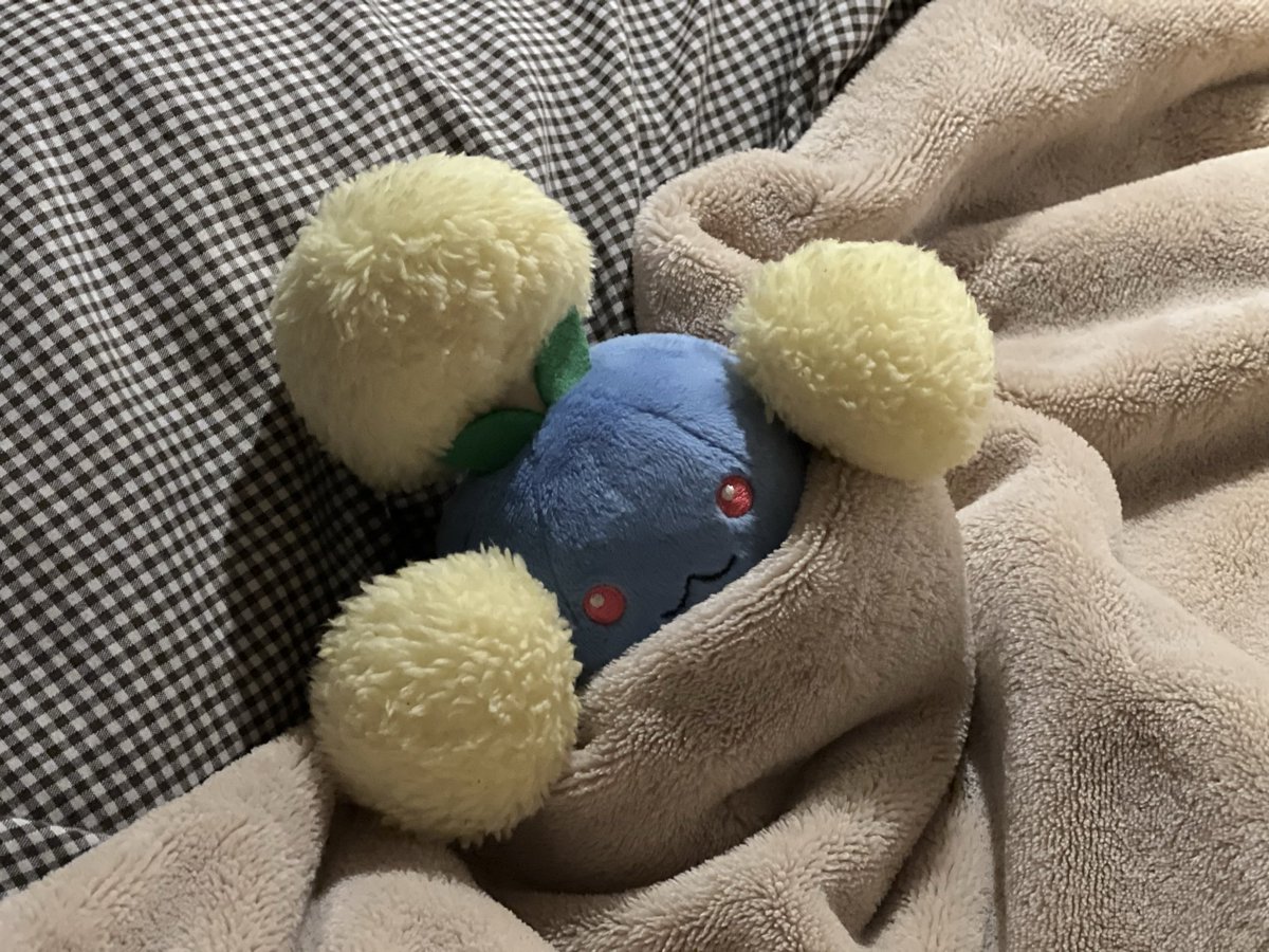 おふとん さいきょ う