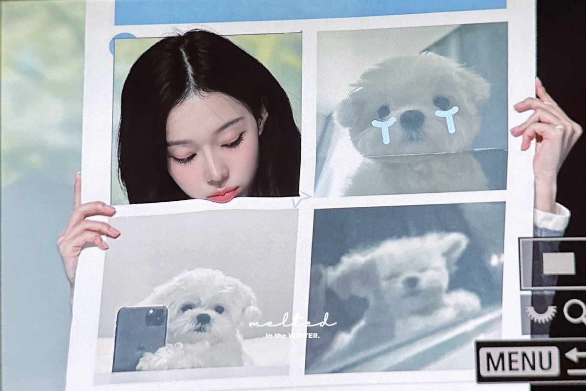 myujimin_'s tweet image. ฉันว่าน้องหมาเลี้ยงมอลทีสแน่