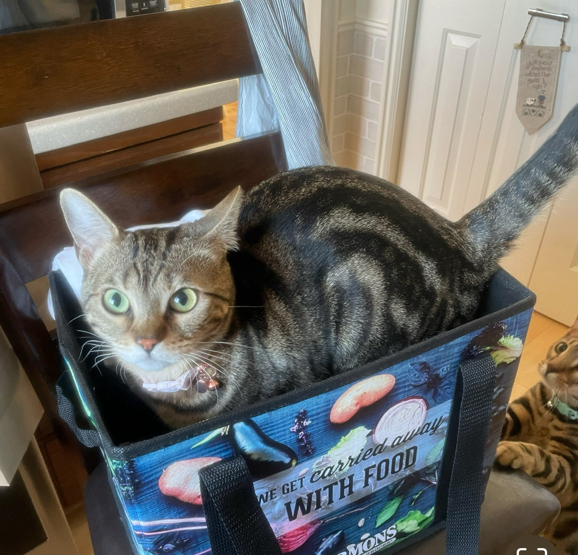 Good morning furrends and hooms and happy #WhiskersWednesday. Sending love, hugs and smiles on this cold cloudy morning. The best people are those who make you smile for often. We love you! #Hedgewatch