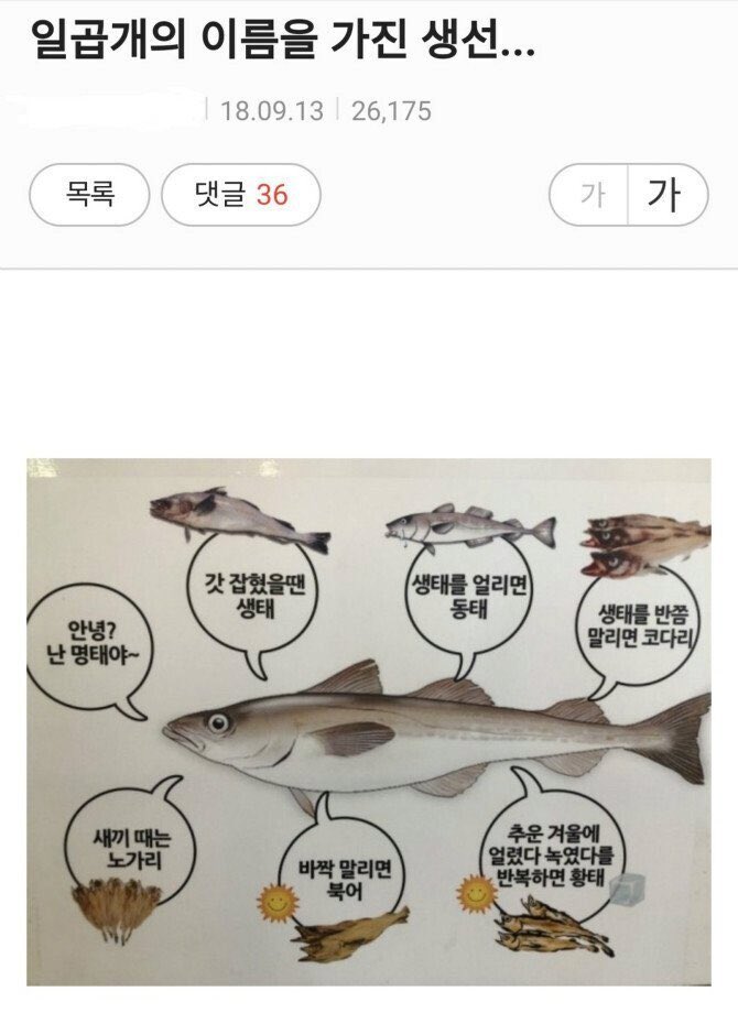 5차전 선발은 원태