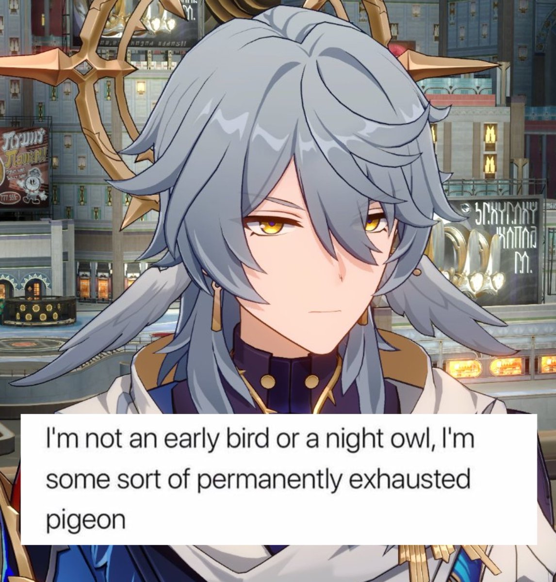 WhereIsCelestia's tweet image. 