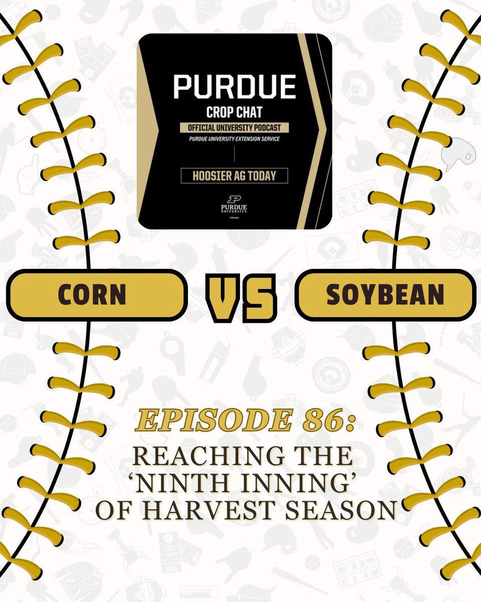 PurdueAgryExt's tweet image. 🚜Purdue Crop Chat &🎙️@hoosieragtoday released Ep. 86, providing harvest updates & how check strips NOW can prepare your farm for production year '26.
LISTEN HERE: spotifycreators-web.app.link/e/m0z2zjTkBXb
@PurdueAg @PurdueExtension @INSoybean @INCornFarmers @CropNetwork @TheKernelLab