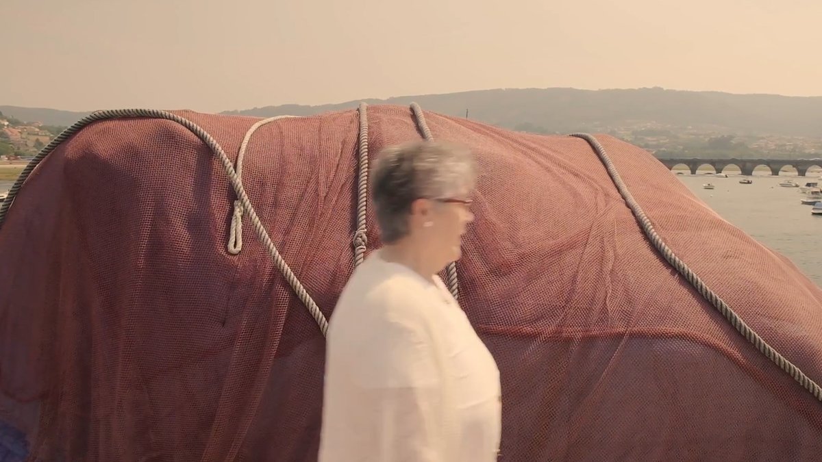 Hamaika Telebista tweet media