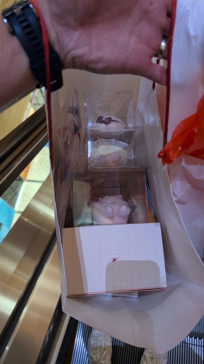 Success by Sparkles member