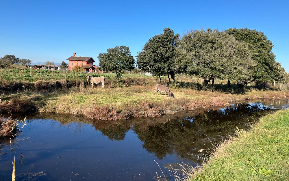 📢🔬NON PERDETE LE INTERESSANTI INIZIATIVE ORGANIZZATE DAI MUSEI ANMS!🔭🌏
👉Ecco il link alla nostra newsletter settimanale: mailchi.mp/288cb79d1385/g…
👀 Continuate a seguirci anche sul nostro sito: anms.it
👥 Per diventare Soci ANMS scrivete a: segreteria@anms.it