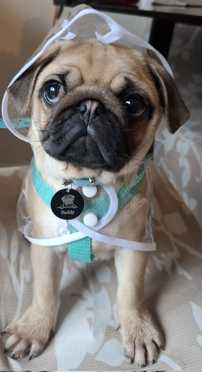 Newest addition to the family.