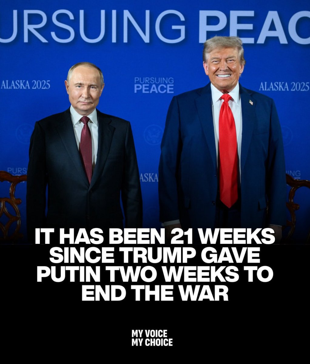 DavidBraun1966's tweet image. 