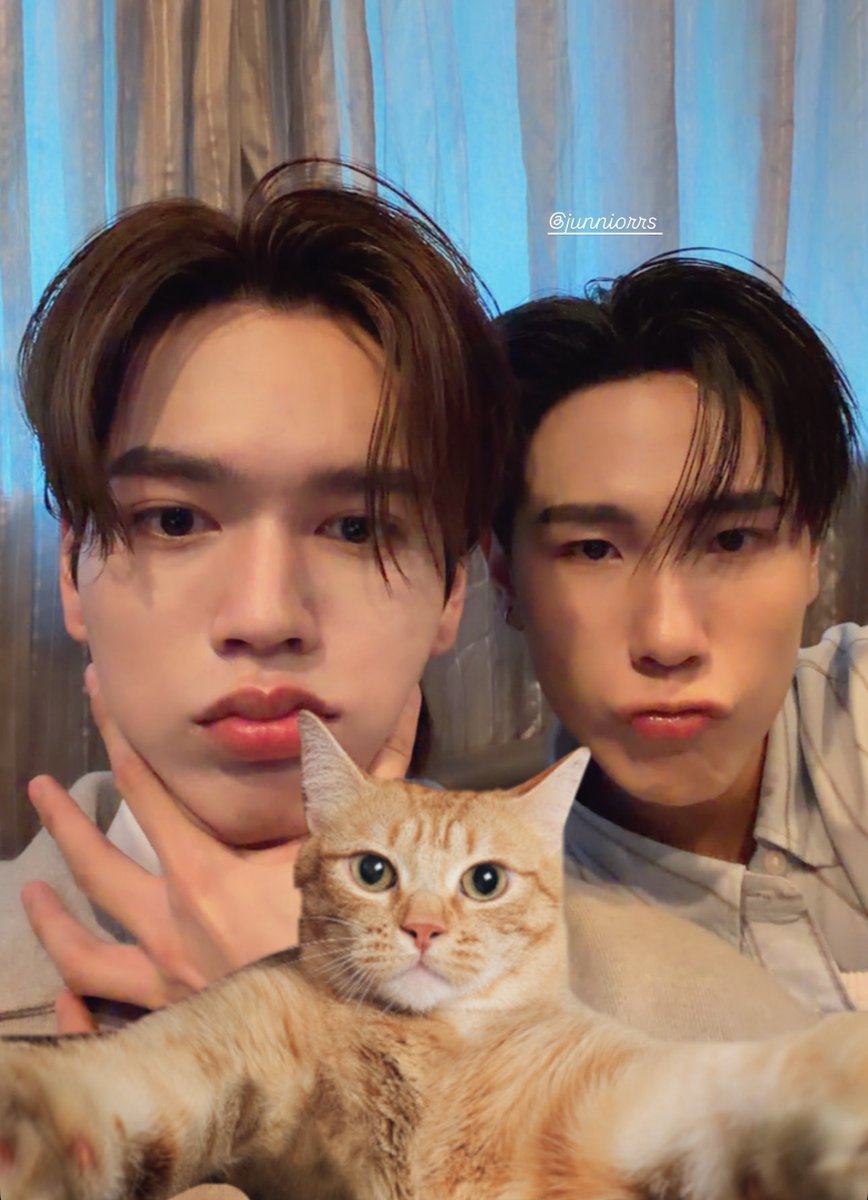 gggpjm's tweet image. น่ารักกกกกจังเหมียว🐱 
#JuniorMark #junniorrs #markjrtn