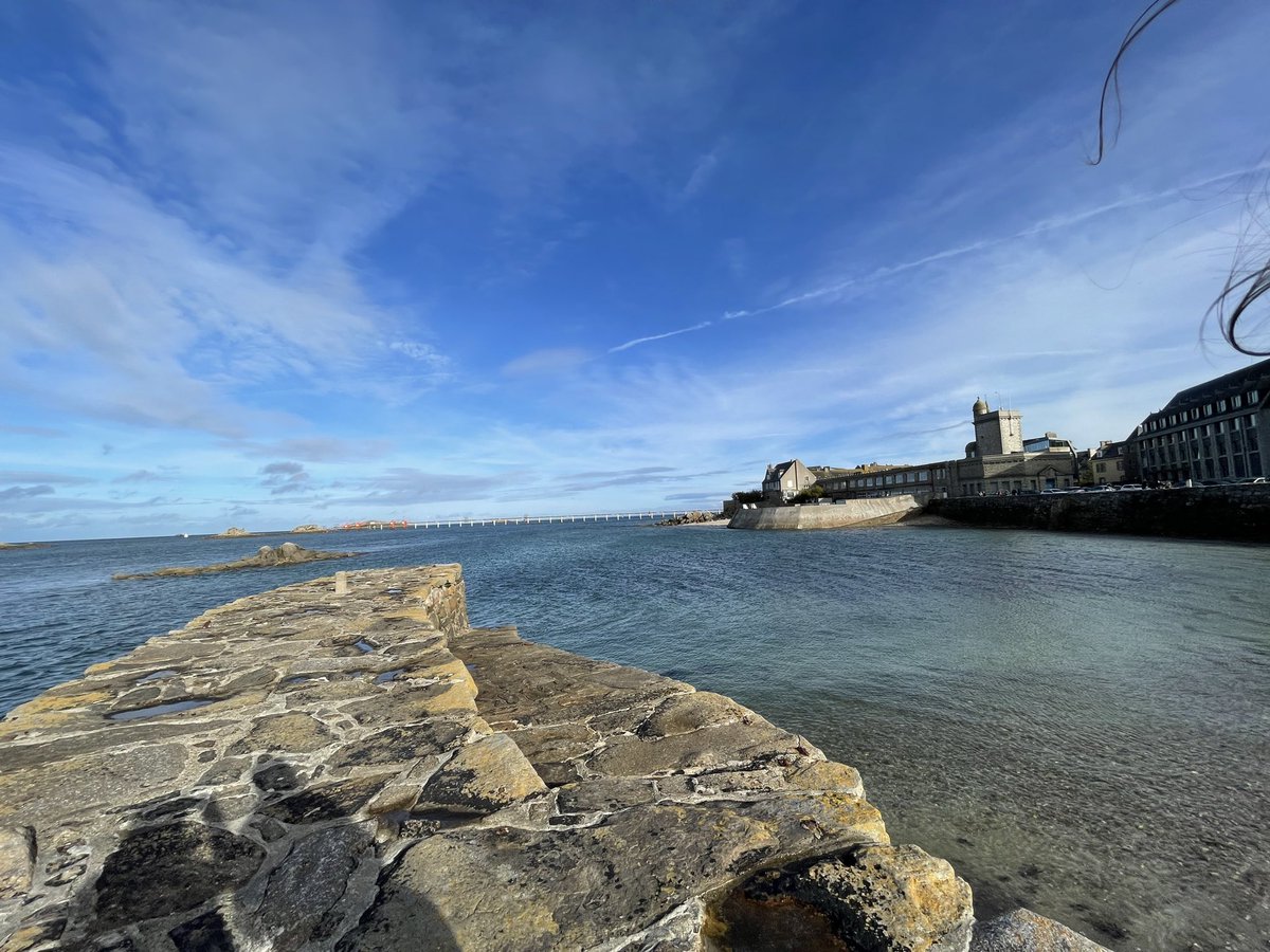 crazy_chipkali's tweet image. Enjoying terrific talks and discussions on #speciation in #roscoff this week! Such a beautiful coast :-)