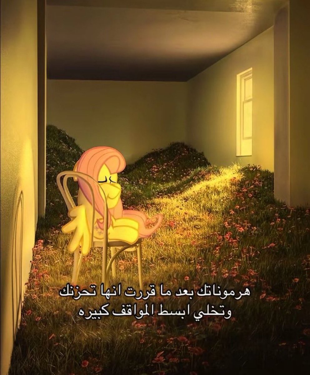 Arab Memes (@arabmemesss) on Twitter photo 