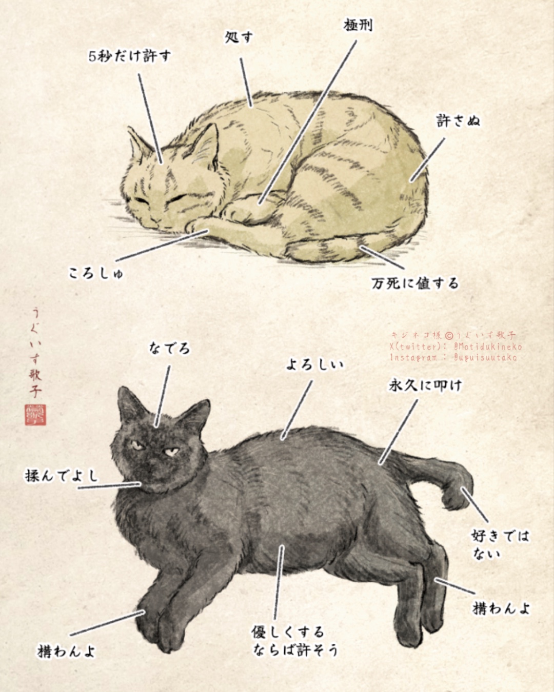 ♡ねむり猫様確認ページ♡ ♡ねむり猫様確認ページ♡