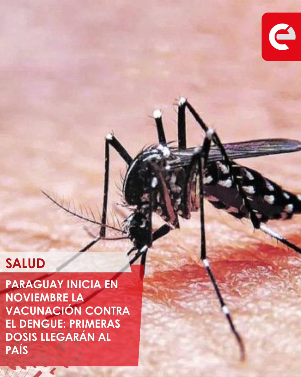 canal_e_py's tweet image. ATENCIÓN! 💉❗
🚨 El Ministerio de Salud confirmó que a partir de noviembre comenzará la campaña de vacunación contra el dengue, con la llegada del primer lote de 70.200 dosis proporcionadas por la farmacéutica japonesa Takeda.
#vacuna #dosis #dengue #noviembre #paraguay
📺…