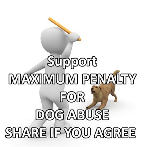 DAWN (@dawnsl44) on Twitter photo 