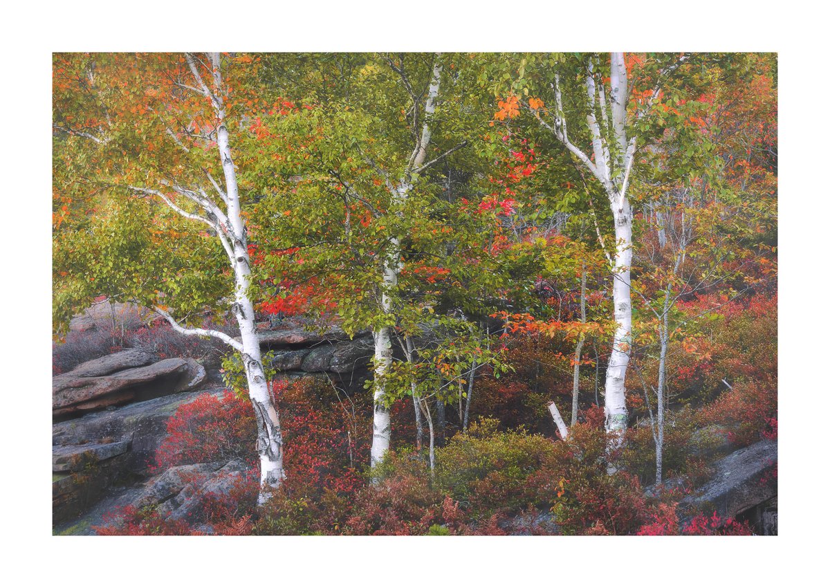 A quiet fall scene in Acadia NP.