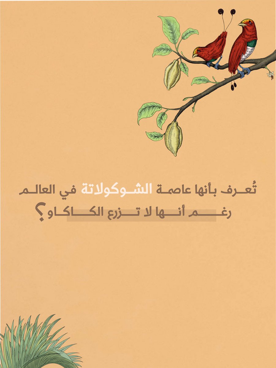 ايش تتوقعون الدولة المقصودة 👀؟
أول 5 يجاوبون صح لهم هدية حلوة 🎁🔥
السحب بيكون يوم الخميس الساعة 5 العصر 🕔✨