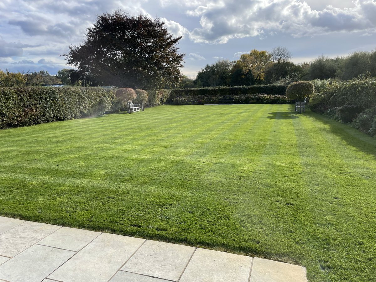 carl reevess tweet media