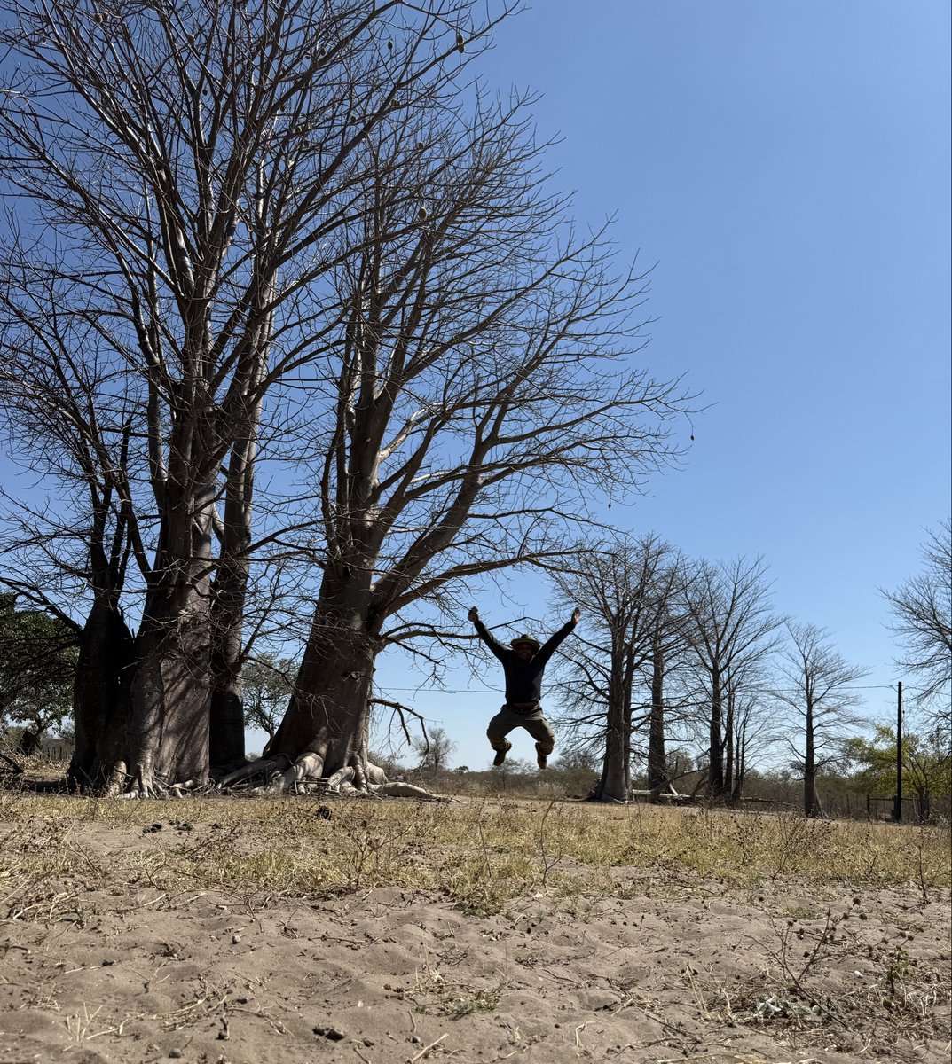 Okavango Delta tweet media