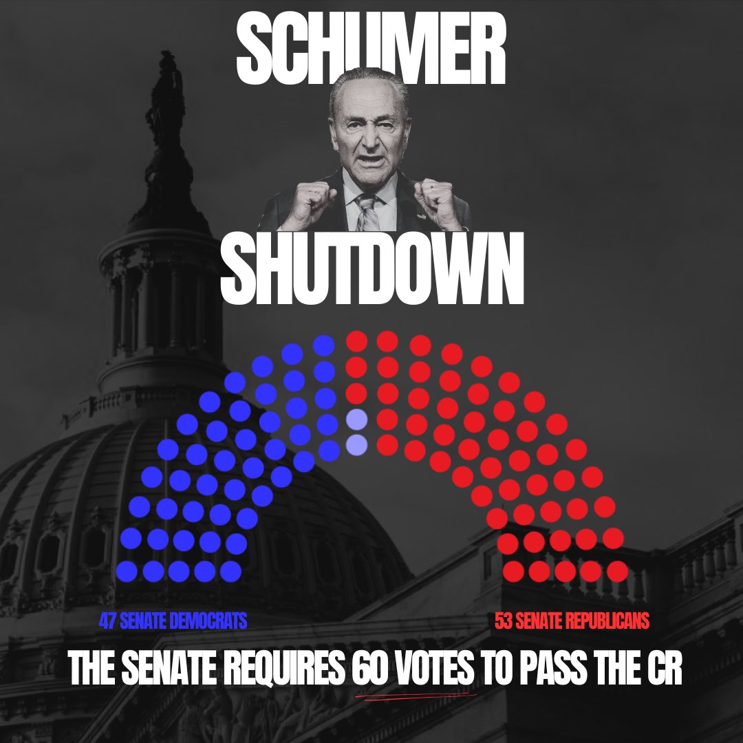 The <a href="/HouseDemocrats/">House Democrats</a> and <a href="/SenateDems/">Senate Democrats</a> have voted 12 times to defund WIC.

Let that sink in.