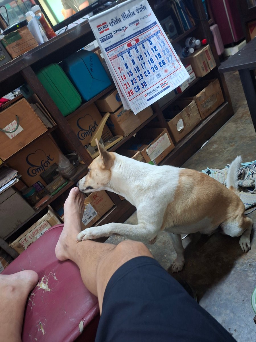 "Unbelievable… the entitlement is off the charts!" 😋💥