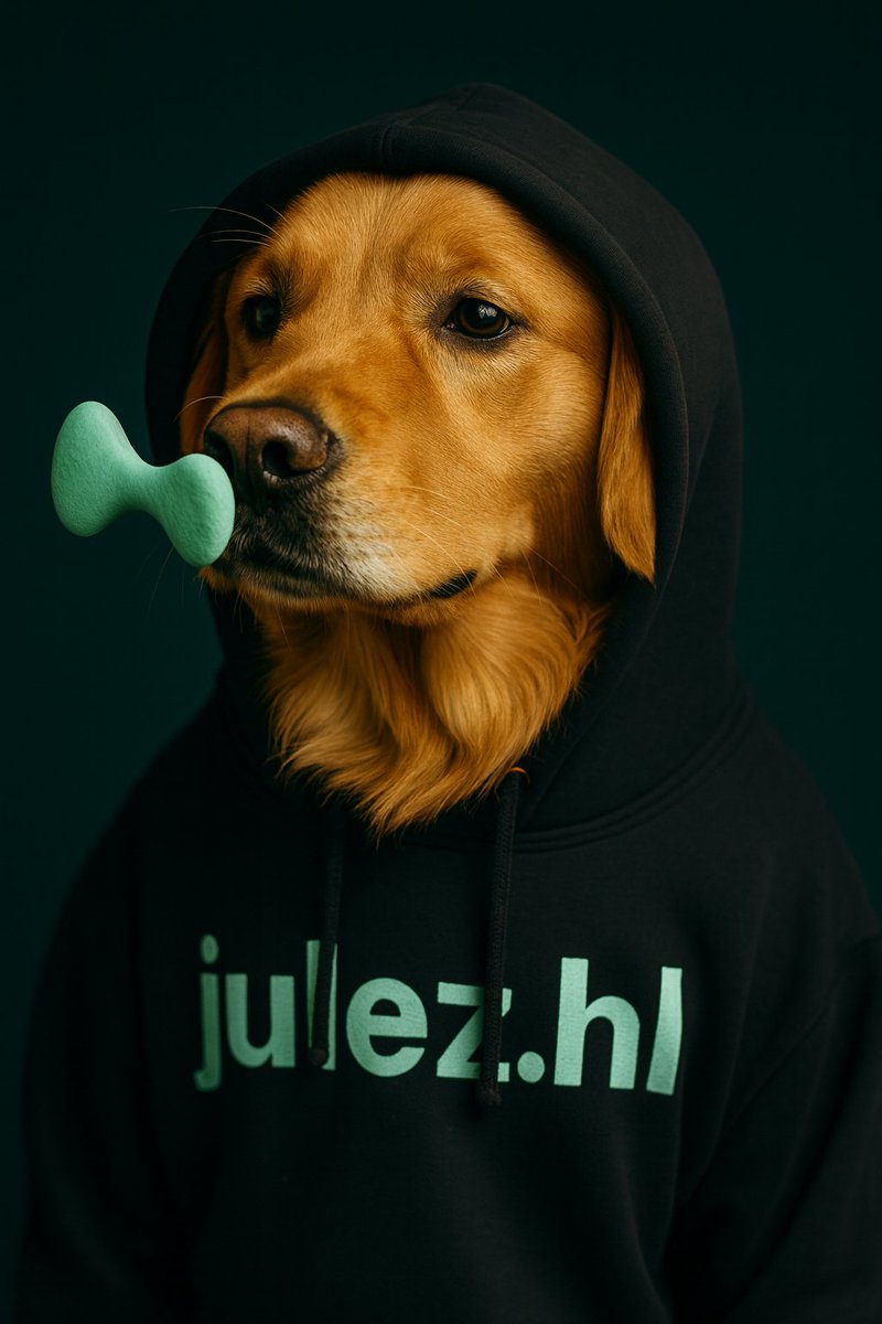 Just changed my name to julez.hl

Hyperliquid.