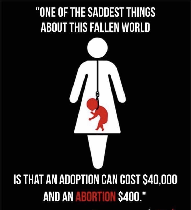 Daniel Hall tweet media