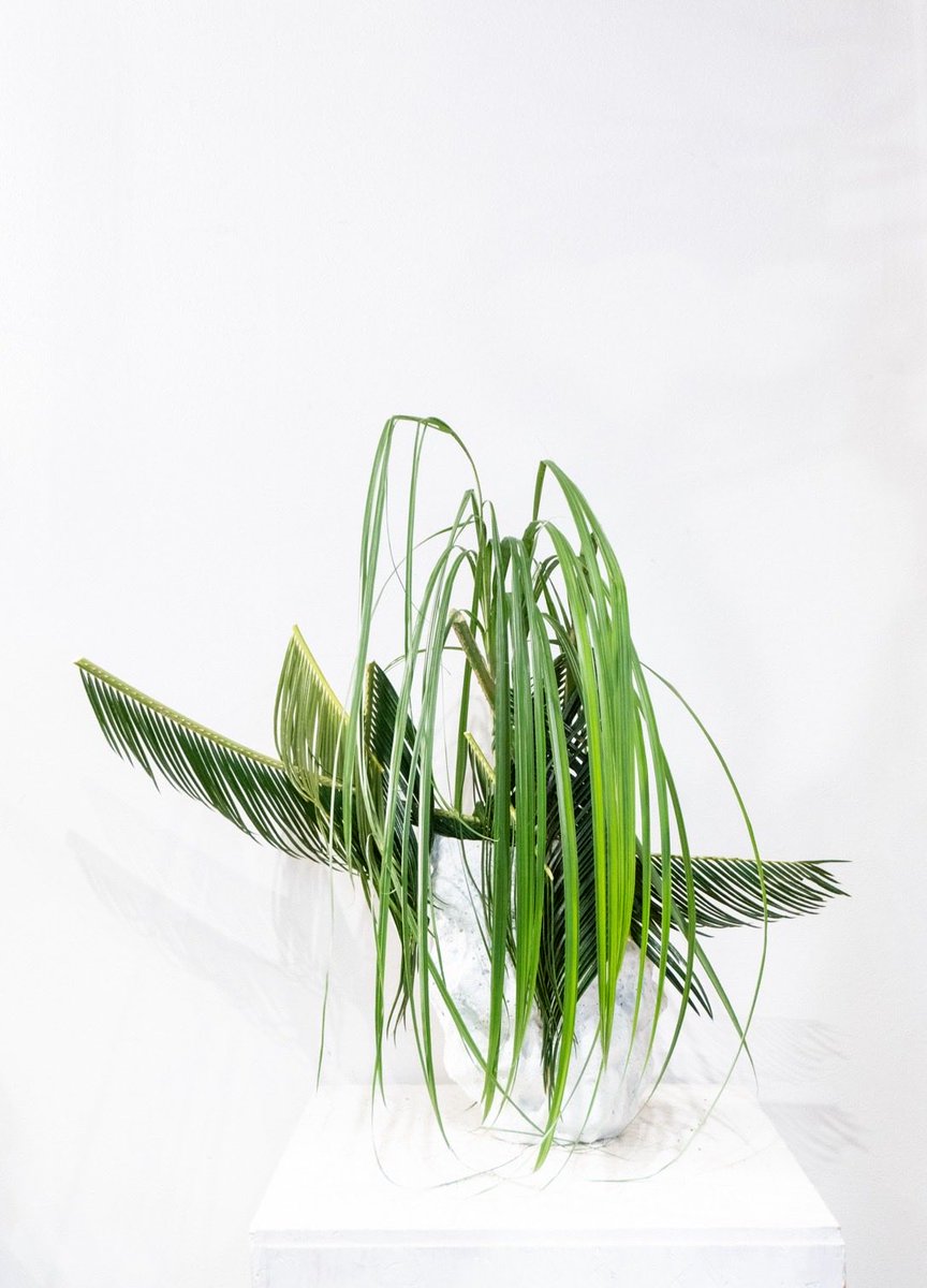 Star River Ikebana tweet media