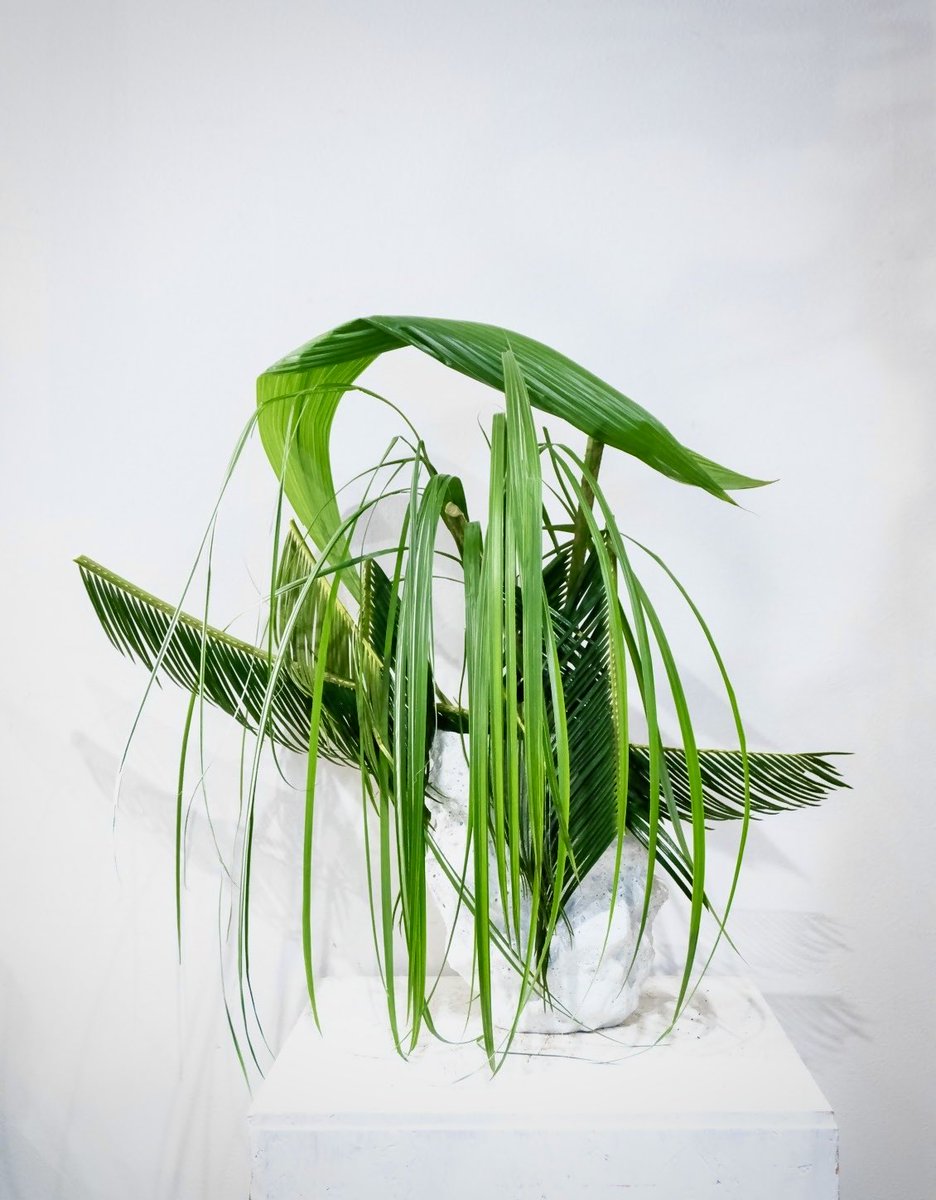 Star River Ikebana tweet media