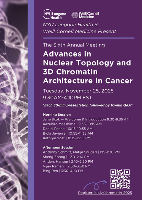 iannisaifantis1's tweet image. Join us on November 25th, online, to discuss 3D nuclear organization, gene transcription and human cancer! Organized by @jane_skok and @NYUGSOM_Path !!