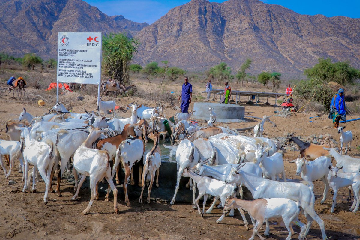 The EU is providing €250,000 in humanitarian aid to support the Somalia Red Crescent Society’s emergency response to ongoing crises driven by prolonged drought, climate shocks, environmental degradation and the collapse of essential services. <a href="/AbdulkadirAfi/">Abdulkadir “Afi”</a>