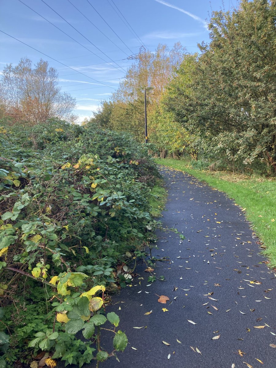 BlackpoolCT's tweet photo. #NorthBlackpoolPondTrail great team of volunteers from  Jenkinsons Office Supplies today. We got loads of brambles bashed 😁 @GroundworkCLM @BpoolCouncil https://t.co/OQ1Wi4gaxa