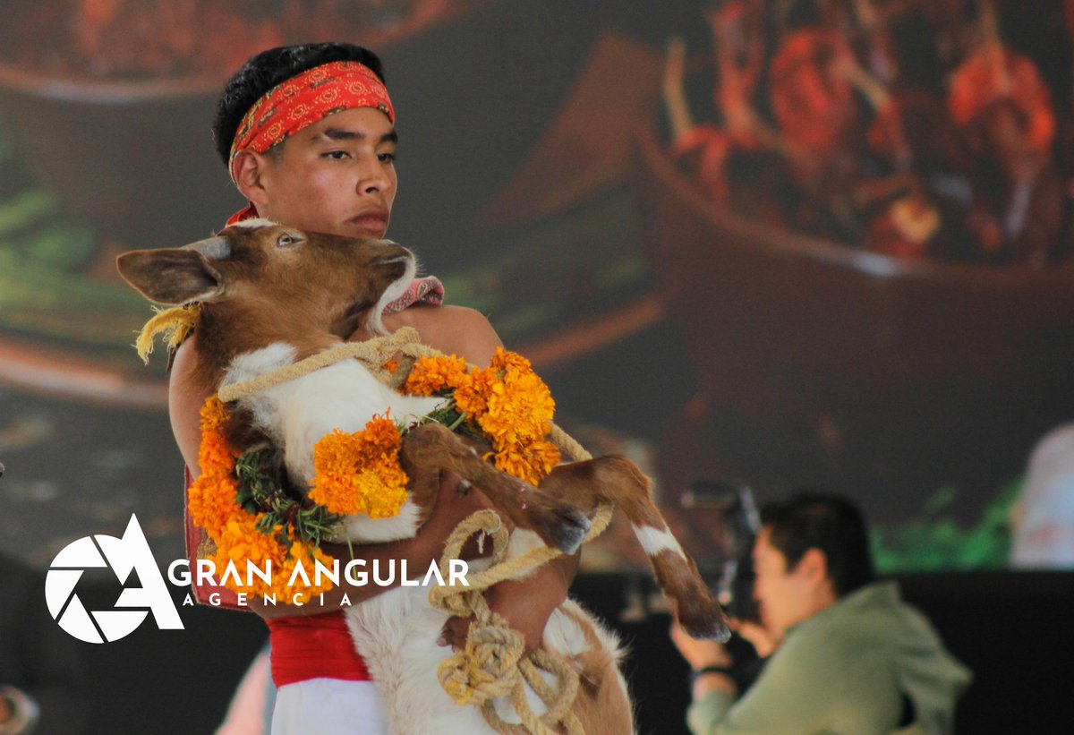 Gran Angular tweet media