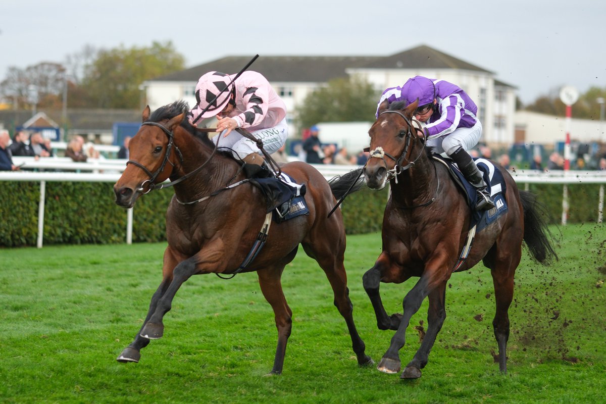 🗒️ "He should take all the beating."

It's an ITV triple-header this Saturday with 11 races shown live and we've got you covered in this week's <a href="/RPWeekender/">Weekender</a>. 

We've got all the form, colour cards, and tipping panellists to assist with your punting - IT'S OUT NOW!