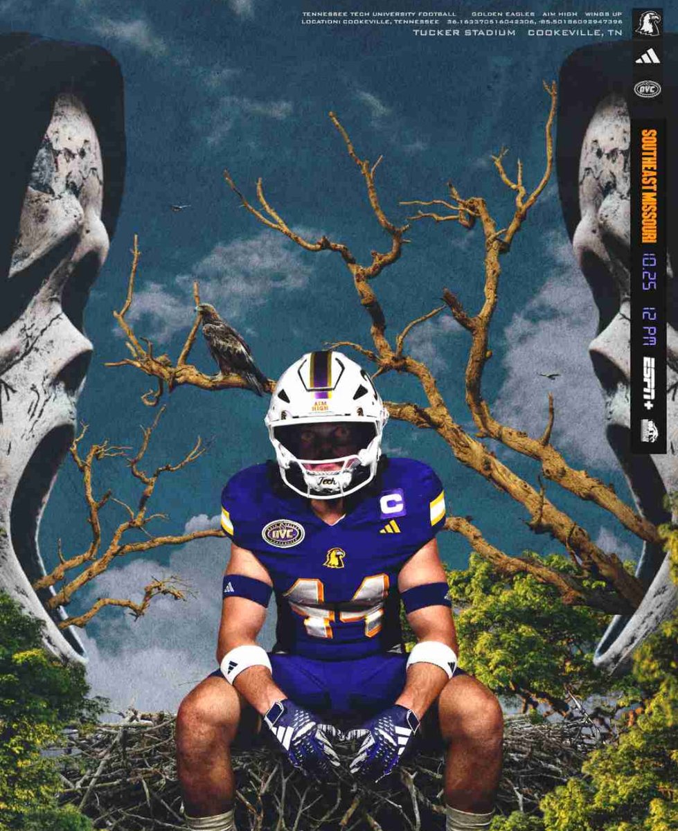 Troy Harris ⭐️ tweet media