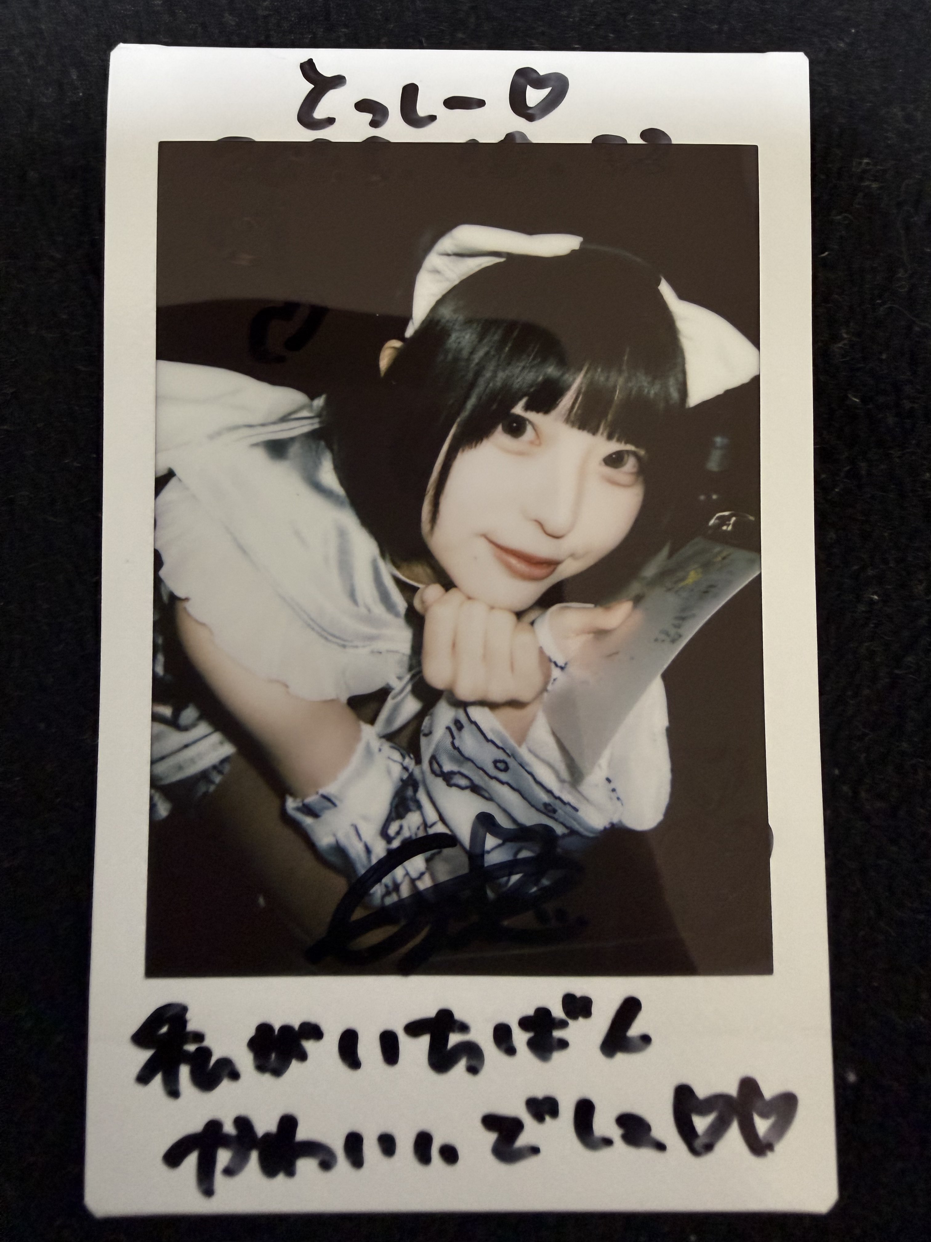 とっしー🦈🧷 on X: 