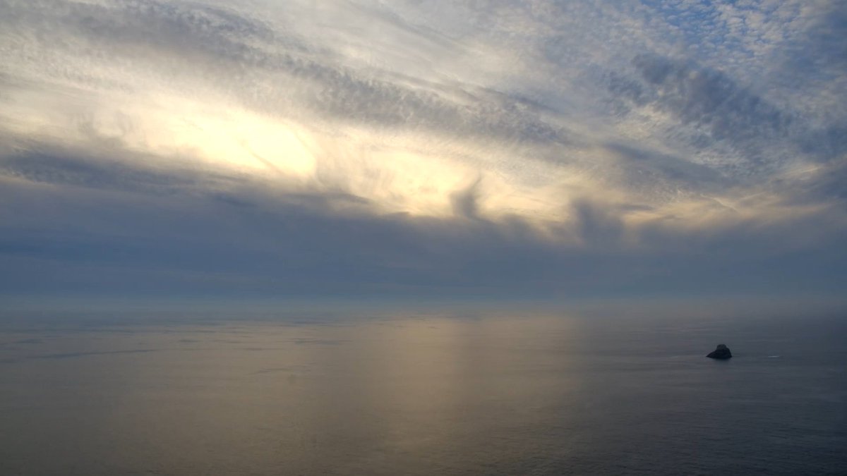 Solporeu tweet media