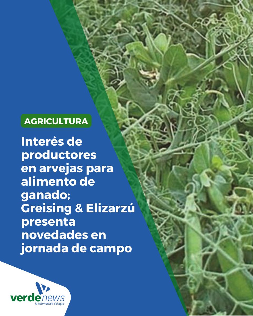 verdemedia tweet media