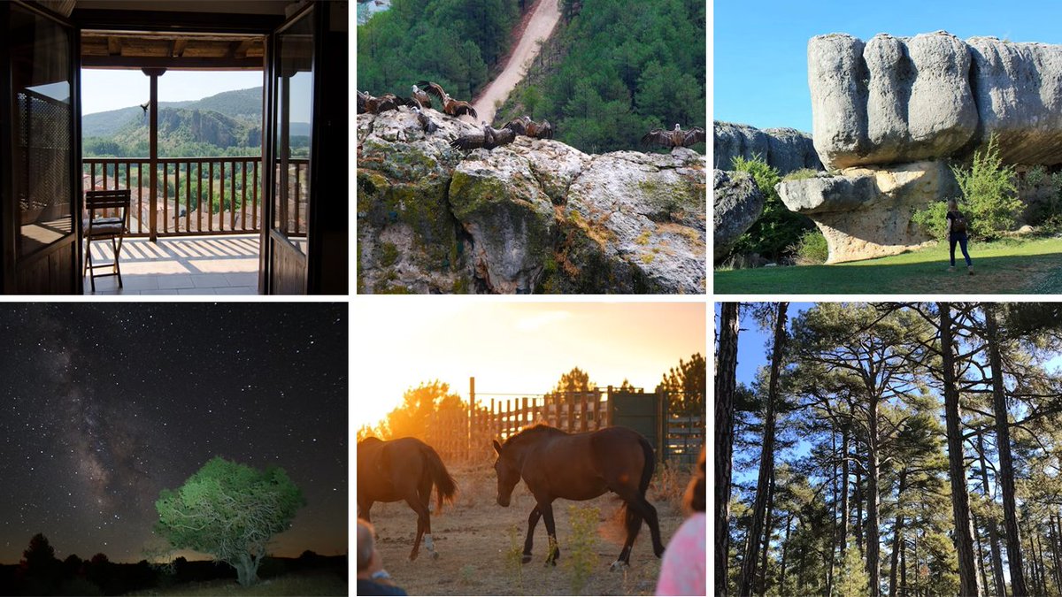 Rewilding Spain Oficial tweet media