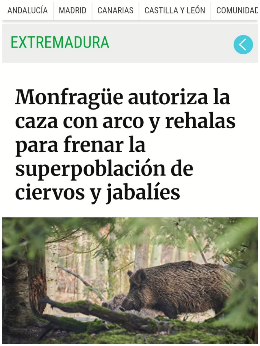 amaregar's tweet image. ¡LA CAZA ES ABOMINABLE! 
Exigimos que se prohíban la caza y sus granjas cinegéticas responsables de la superpoblación de jabalíes y ciervos 
#NoALaCaza 
#LaVerdadDeLaCaza 
@mrtarce @libertaddigital 
libertaddigital.com/extremadura/20…