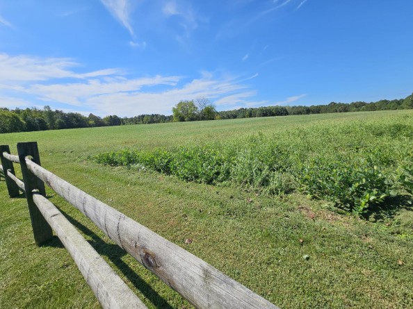 CVBT released its October 2025 e-newsletter last Friday. If you missed it, it is available at: bit.ly/49gyPez

If you don’t want to miss future CVBT email newsletters, you can sign up for them at: bit.ly/3IElLAr

cvbt.org