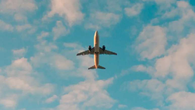 NDTVFood's tweet image. Over 23,000 US Flight Delays Hit Airports In A Week As Unpaid Staff Take Food Delivery Jobs
ndtv.com/travel/over-23…
#US #flight #delay